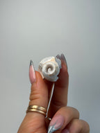 Fossilised Druzy Gastropod Shell, India, I FossilsIndia - Haus of Moss + Moon