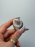 Fossilised Druzy Gastropod Shell, India, M FossilsIndia - Haus of Moss + Moon