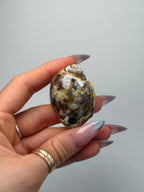 Fossilised Druzy Gastropod Shell, India, O FossilsIndia - Haus of Moss + Moon