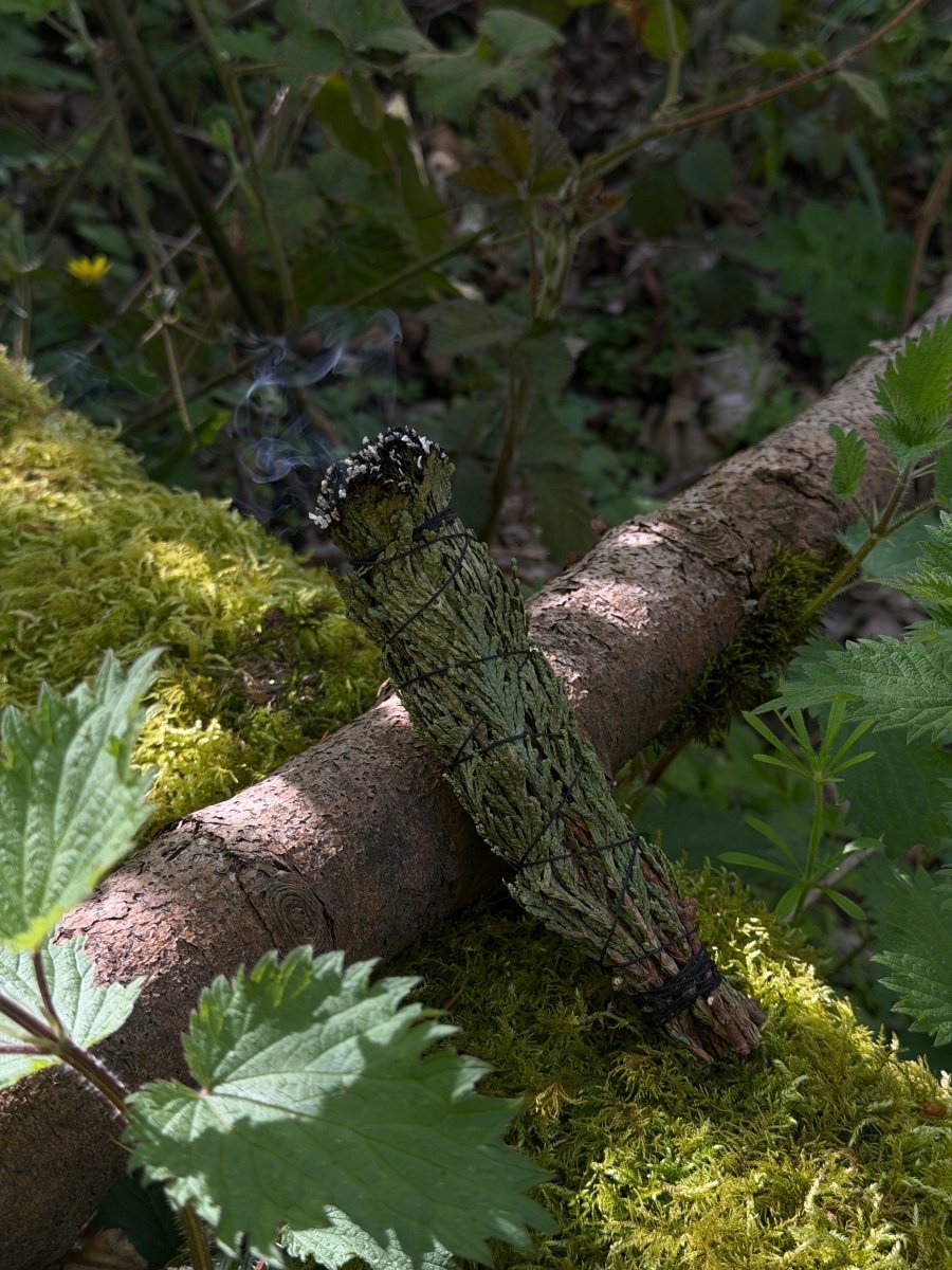 Handmade Cedar Bundle, Smoke Cleansing Stick Smoke Cleansing SticksHaus of Moss + Moon - Haus of Moss + Moon