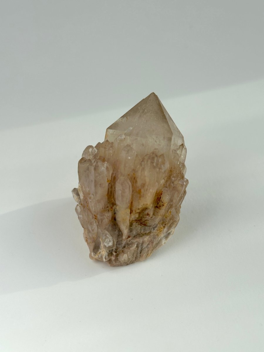 Kundalini Citrine, Congo, A CitrineDemocratic Republic of Congo - Haus of Moss + Moon