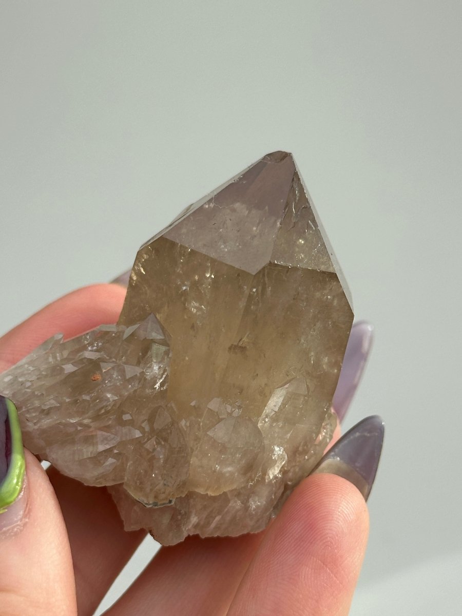 Kundalini Citrine, Congo, B CitrineDemocratic Republic of Congo - Haus of Moss + Moon