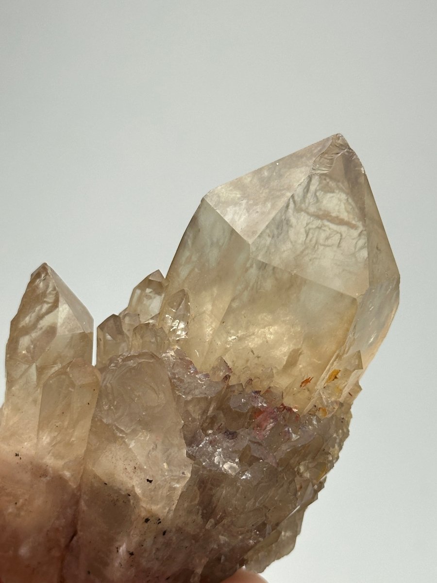 Kundalini Citrine, Congo, C CitrineDemocratic Republic of Congo - Haus of Moss + Moon