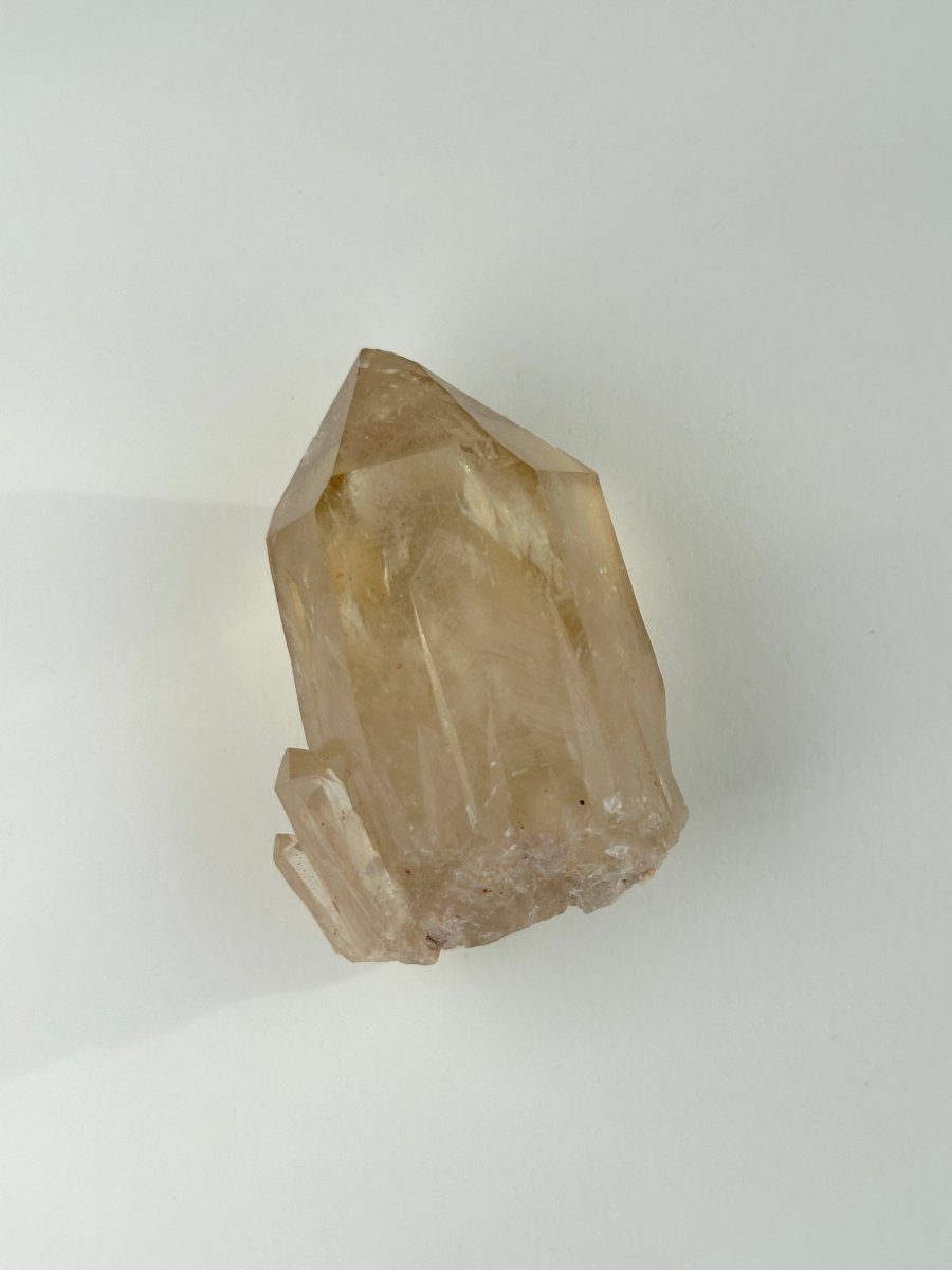 Kundalini Citrine, Congo, D CitrineDemocratic Republic of Congo - Haus of Moss + Moon