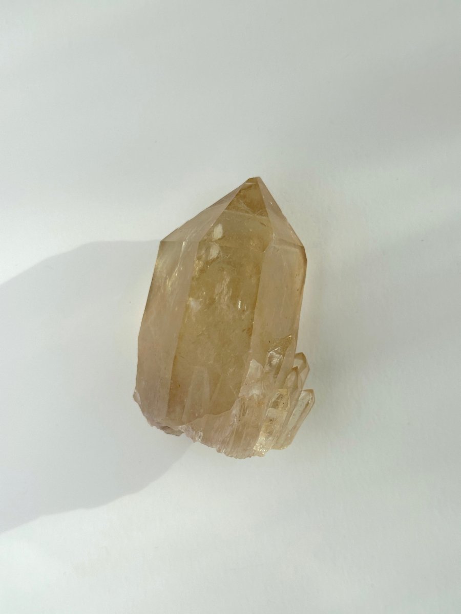 Kundalini Citrine, Congo, D CitrineDemocratic Republic of Congo - Haus of Moss + Moon