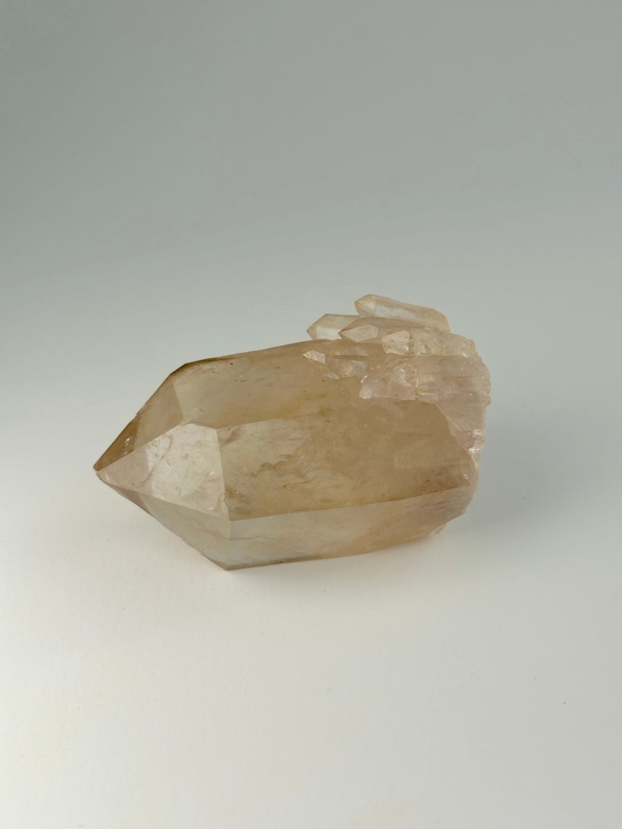 Kundalini Citrine, Congo, D CitrineDemocratic Republic of Congo - Haus of Moss + Moon