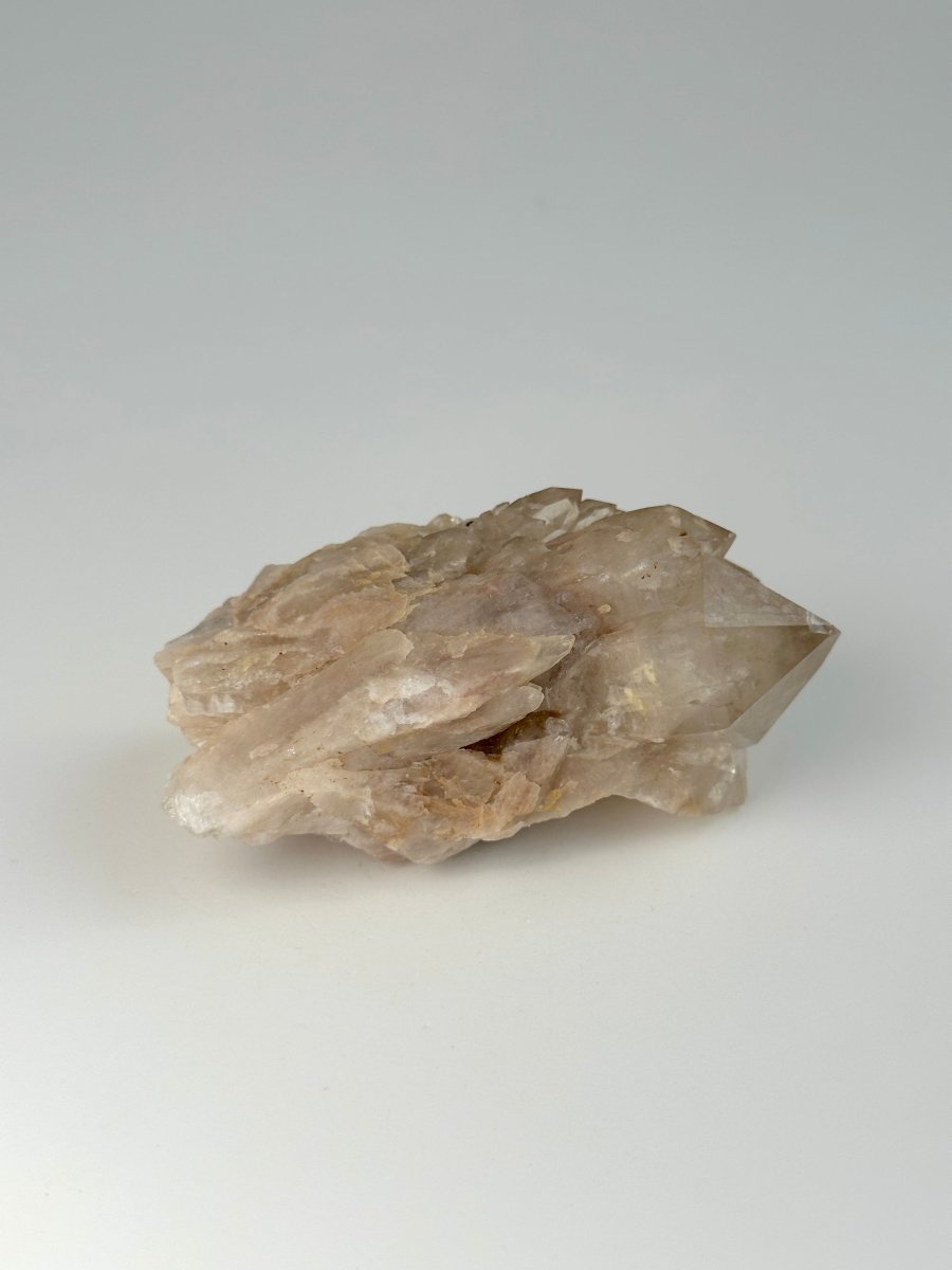 Kundalini Citrine, Congo, H CitrineDemocratic Republic of Congo - Haus of Moss + Moon