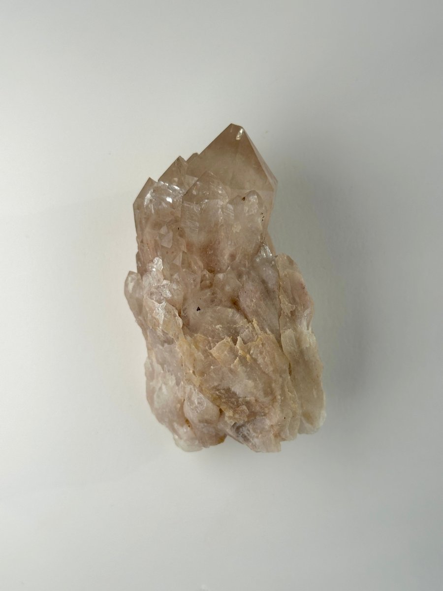 Kundalini Citrine, Congo, H CitrineDemocratic Republic of Congo - Haus of Moss + Moon