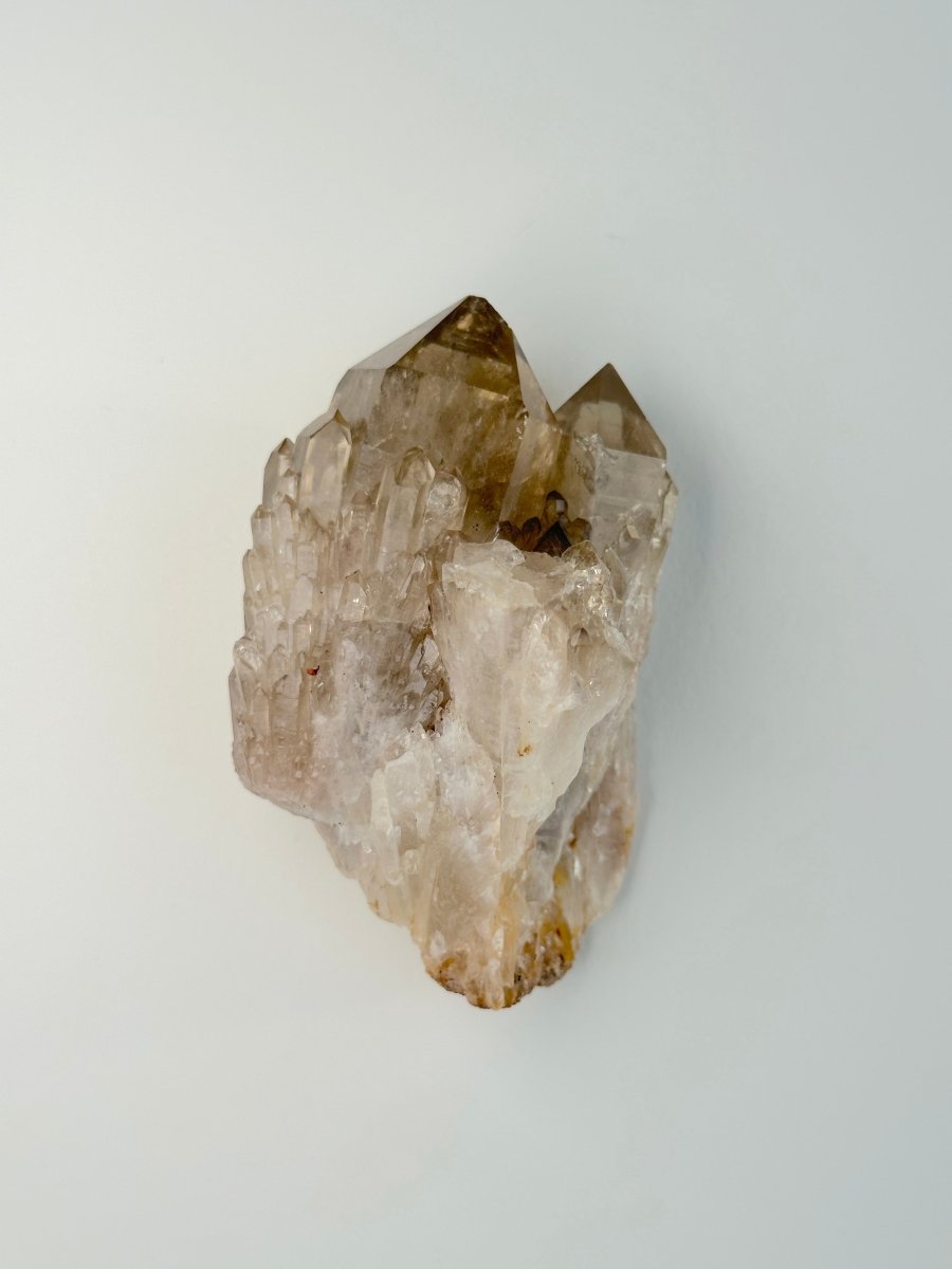 Kundalini Citrine, Congo, I CitrineDemocratic Republic of Congo - Haus of Moss + Moon