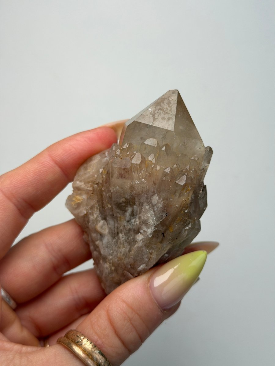 Kundalini Citrine, DR Congo, A Citrine Democratic Republic of Congo - Haus of Moss + Moon