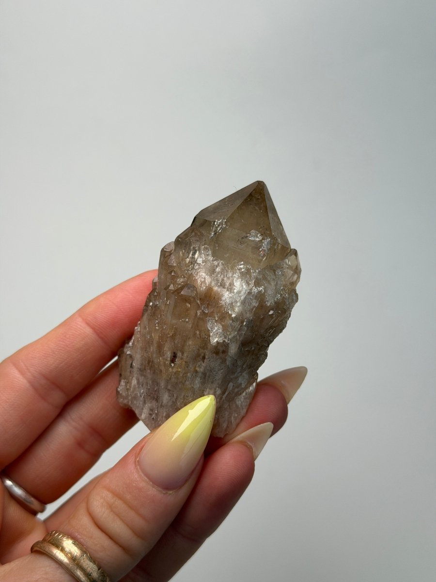 Kundalini Citrine, DR Congo, B Citrine Democratic Republic of Congo - Haus of Moss + Moon