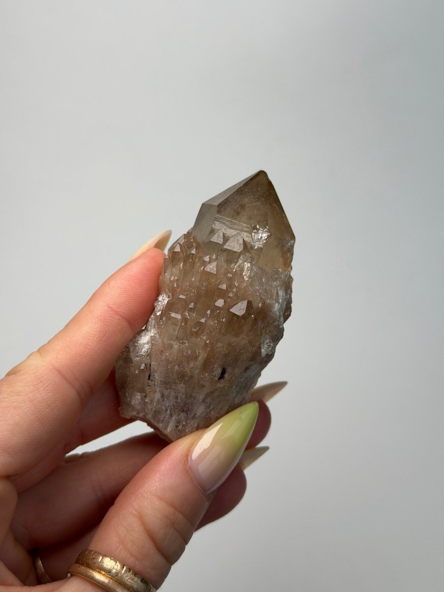 Kundalini Citrine, DR Congo, B Citrine Democratic Republic of Congo - Haus of Moss + Moon