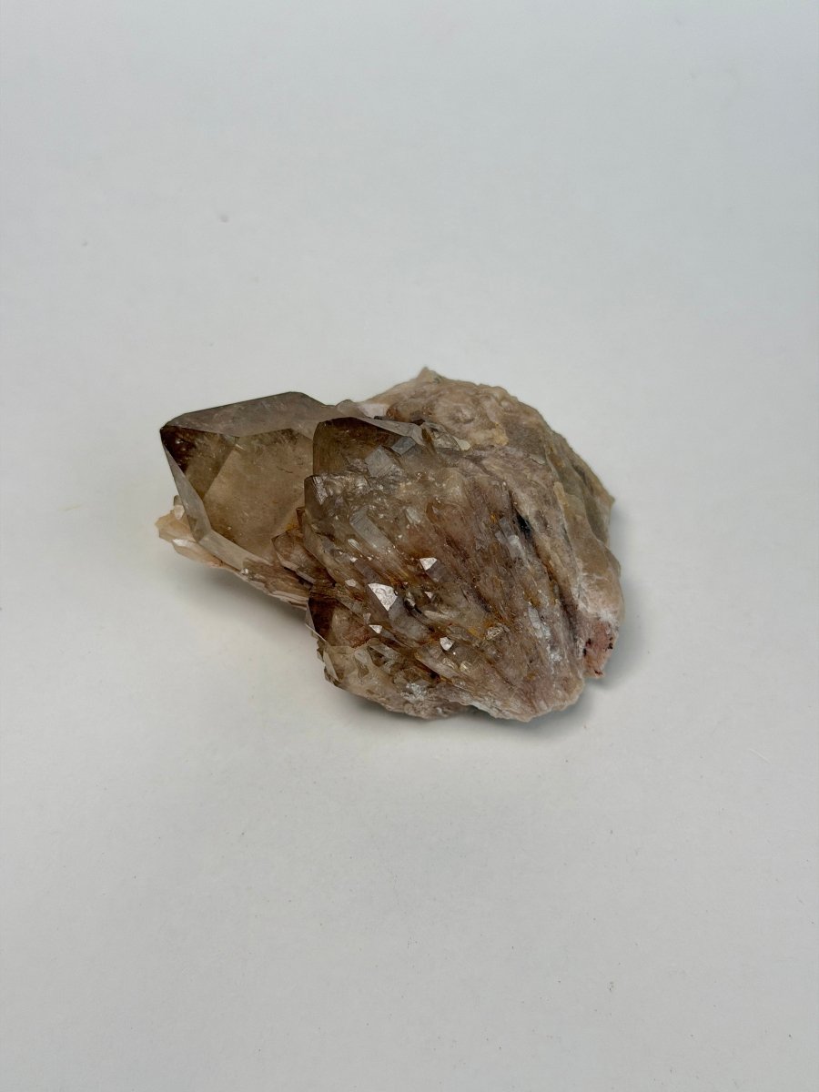 Kundalini Citrine, DR Congo, E Citrine Democratic Republic of Congo - Haus of Moss + Moon
