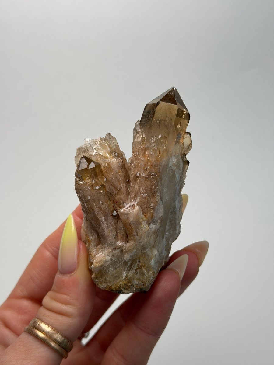 Kundalini Citrine, DR Congo, F Citrine Democratic Republic of Congo - Haus of Moss + Moon