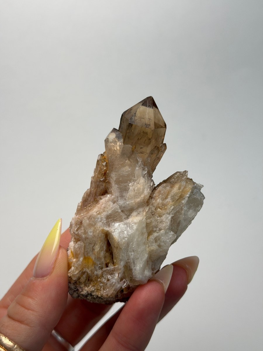 Kundalini Citrine, DR Congo, F Citrine Democratic Republic of Congo - Haus of Moss + Moon