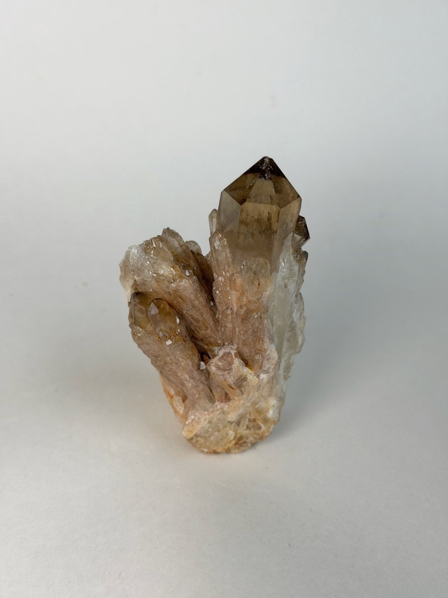 Kundalini Citrine, DR Congo, F Citrine Democratic Republic of Congo - Haus of Moss + Moon