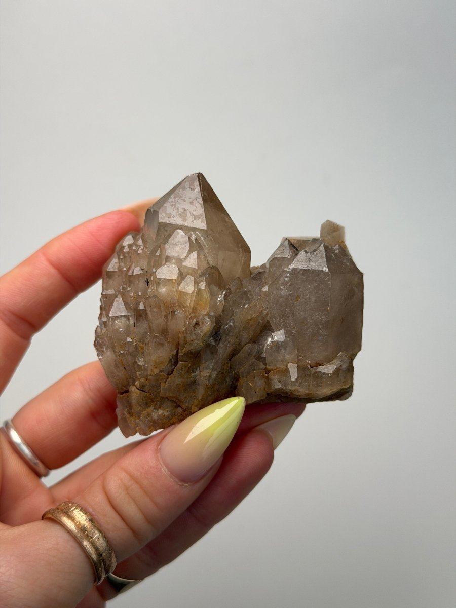 Kundalini Citrine, DR Congo, G Citrine Democratic Republic of Congo - Haus of Moss + Moon