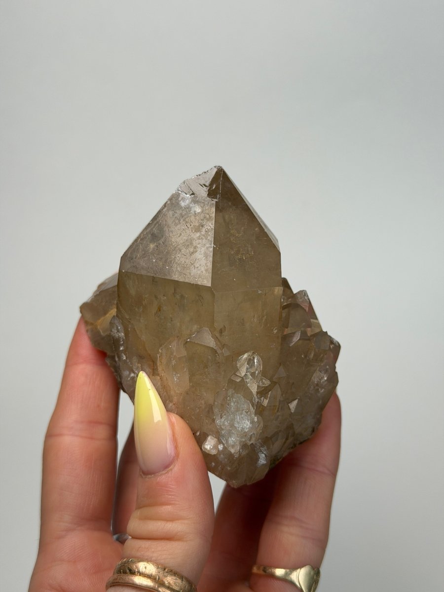Kundalini Citrine, DR Congo, H Citrine Democratic Republic of Congo - Haus of Moss + Moon