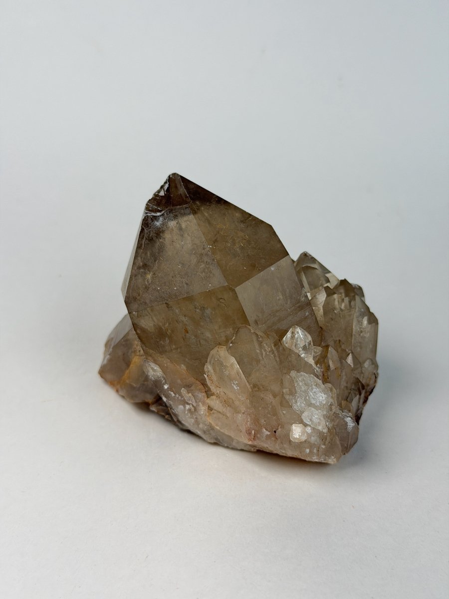 Kundalini Citrine, DR Congo, H Citrine Democratic Republic of Congo - Haus of Moss + Moon