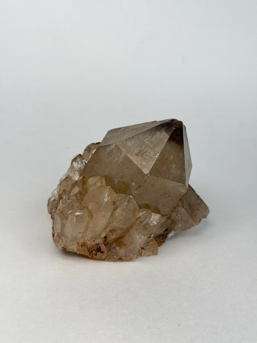 Kundalini Citrine, DR Congo, H Citrine Democratic Republic of Congo - Haus of Moss + Moon