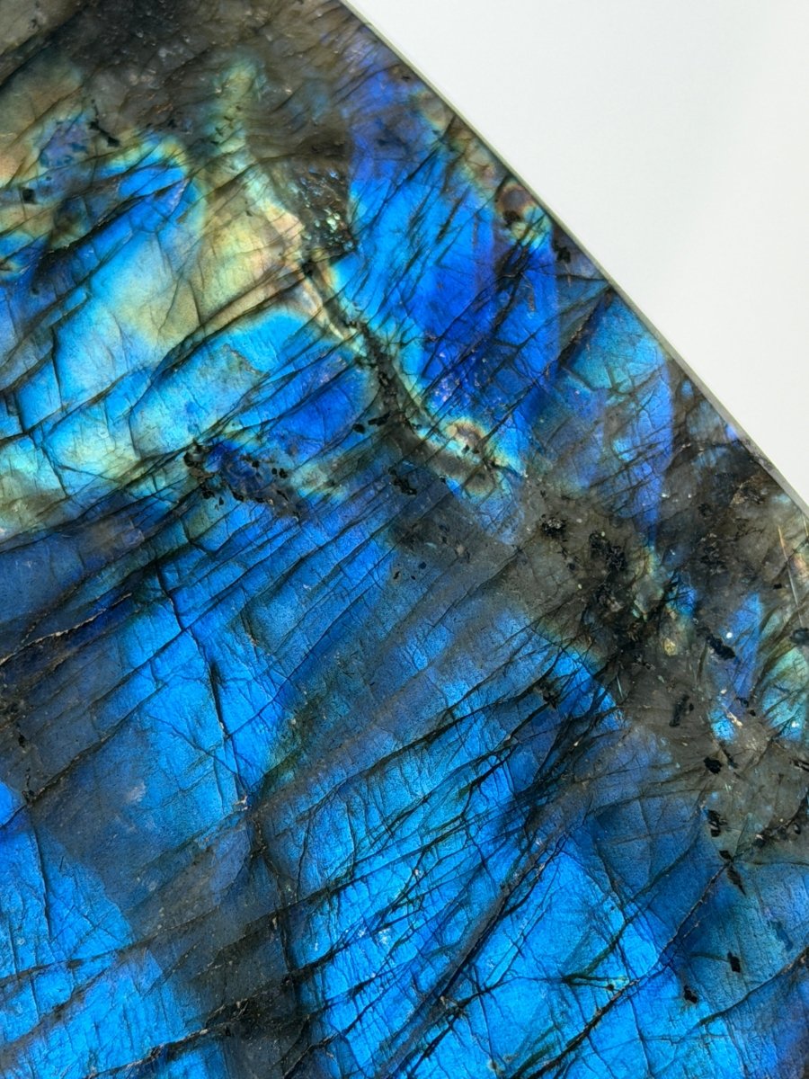 Labradorite Free Form LabradoriteMadagascar- Haus of Moss and Moon