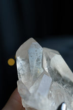 Large Starbrary Clear Quartz Cluster, Diamantina, B Clear QuartzBrazil - Haus of Moss + Moon
