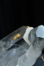 Large Starbrary Clear Quartz Cluster, Diamantina, B Clear QuartzBrazil - Haus of Moss + Moon