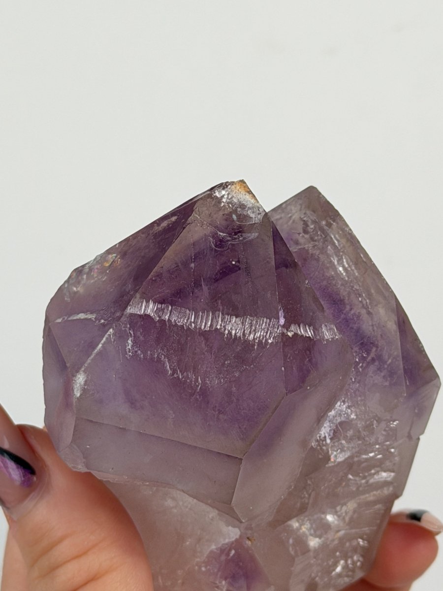 Madagascan Elestial Amethyst, T AmethystMadagascar - Haus of Moss + Moon