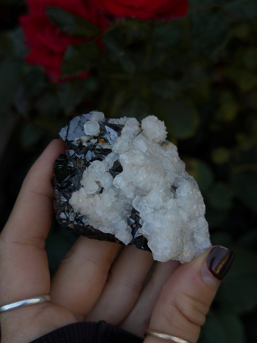 Mangano Calcite on Sphalerite, Kosovo CalciteKosovo- Haus of Moss and Moon