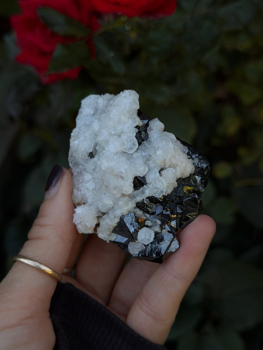 Mangano Calcite on Sphalerite, Kosovo CalciteKosovo- Haus of Moss and Moon