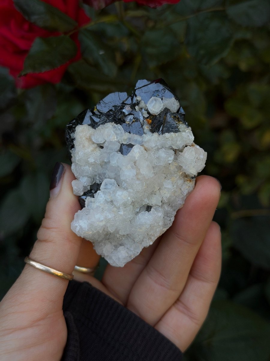 Mangano Calcite on Sphalerite, Kosovo CalciteKosovo- Haus of Moss and Moon