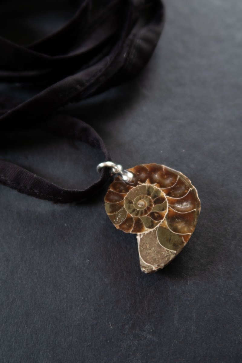 MARIS Ammonite Choker | palmworks x hom+m JewelleryHaus of Moss + Moon- Haus of Moss and Moon