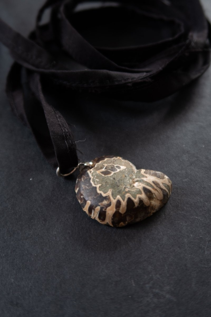 MARIS Ammonite Choker | palmworks x hom+m JewelleryHaus of Moss + Moon- Haus of Moss and Moon