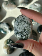 Moss Agate Palm Stone Moss AgateIndia - Haus of Moss + Moon