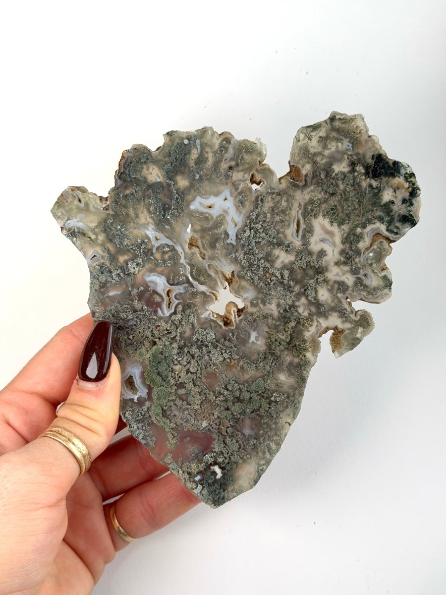 Moss Agate Slice Moss AgateIndia - Haus of Moss + Moon