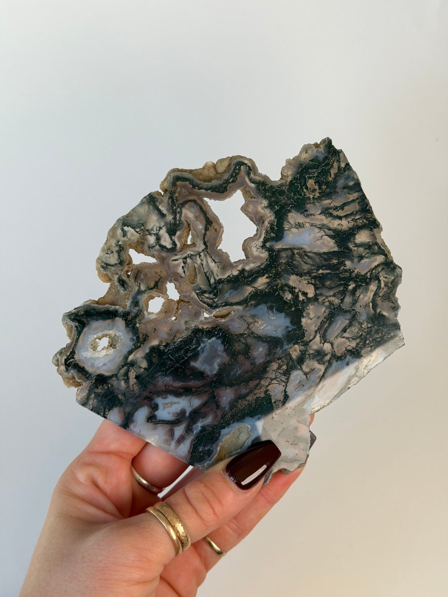 Moss Agate Slice Moss Agate India - Haus of Moss + Moon