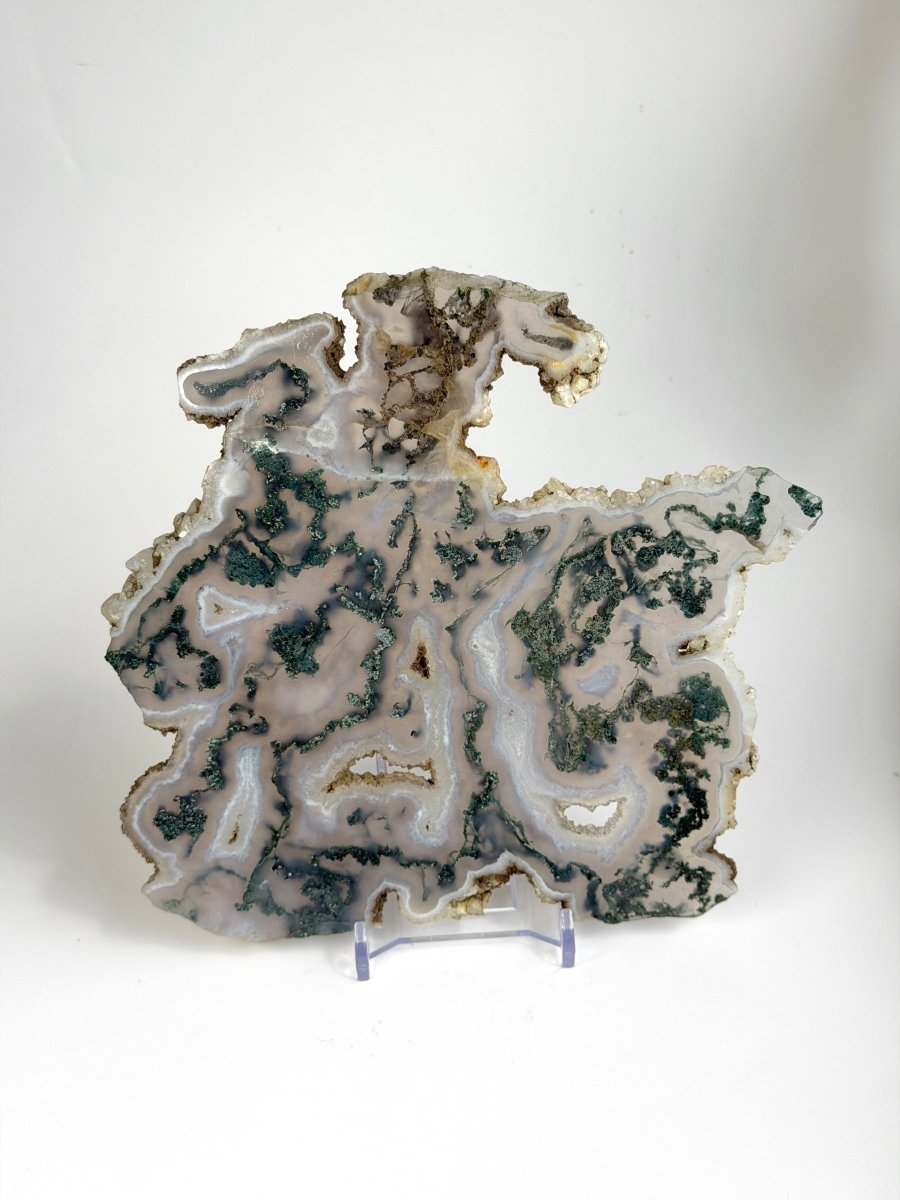 Moss Agate Slice Moss AgateIndia - Haus of Moss + Moon