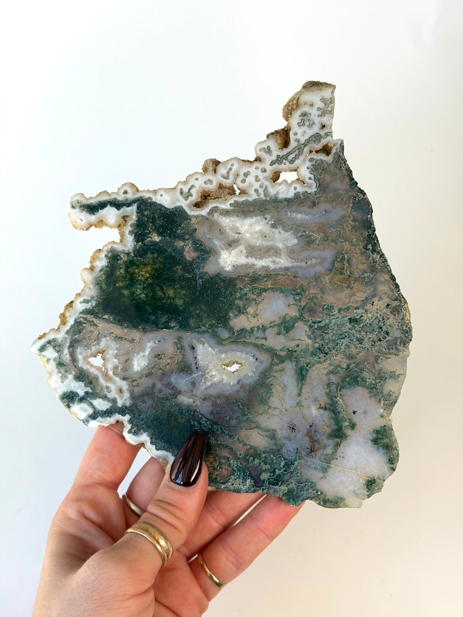 Moss Agate Slice Moss Agate India - Haus of Moss + Moon