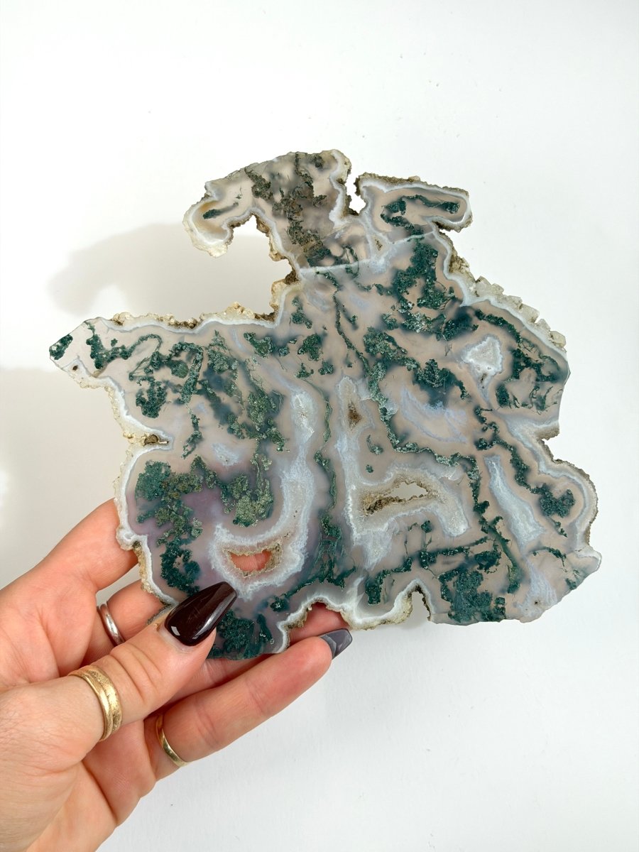 Moss Agate Slice Moss AgateIndia - Haus of Moss + Moon