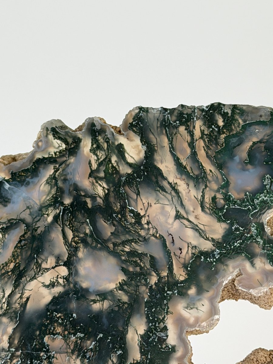 Moss Agate Slice Moss Agate India - Haus of Moss + Moon