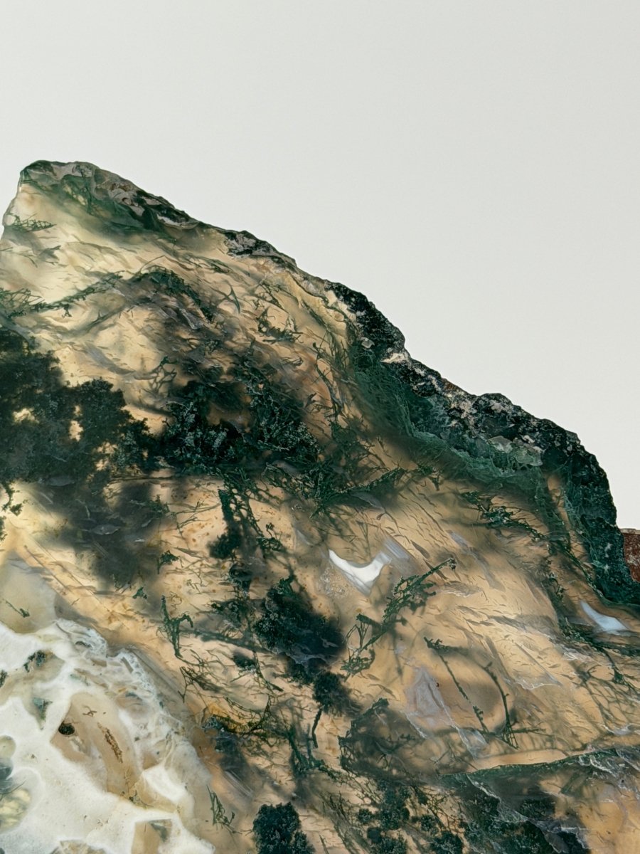 Moss Agate Slice Moss Agate India - Haus of Moss + Moon