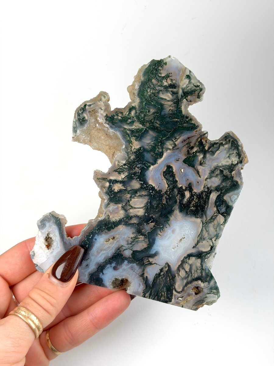 Moss Agate Slice Moss AgateIndia - Haus of Moss + Moon