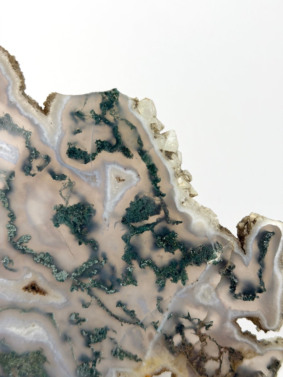Moss Agate Slice Moss AgateIndia - Haus of Moss + Moon