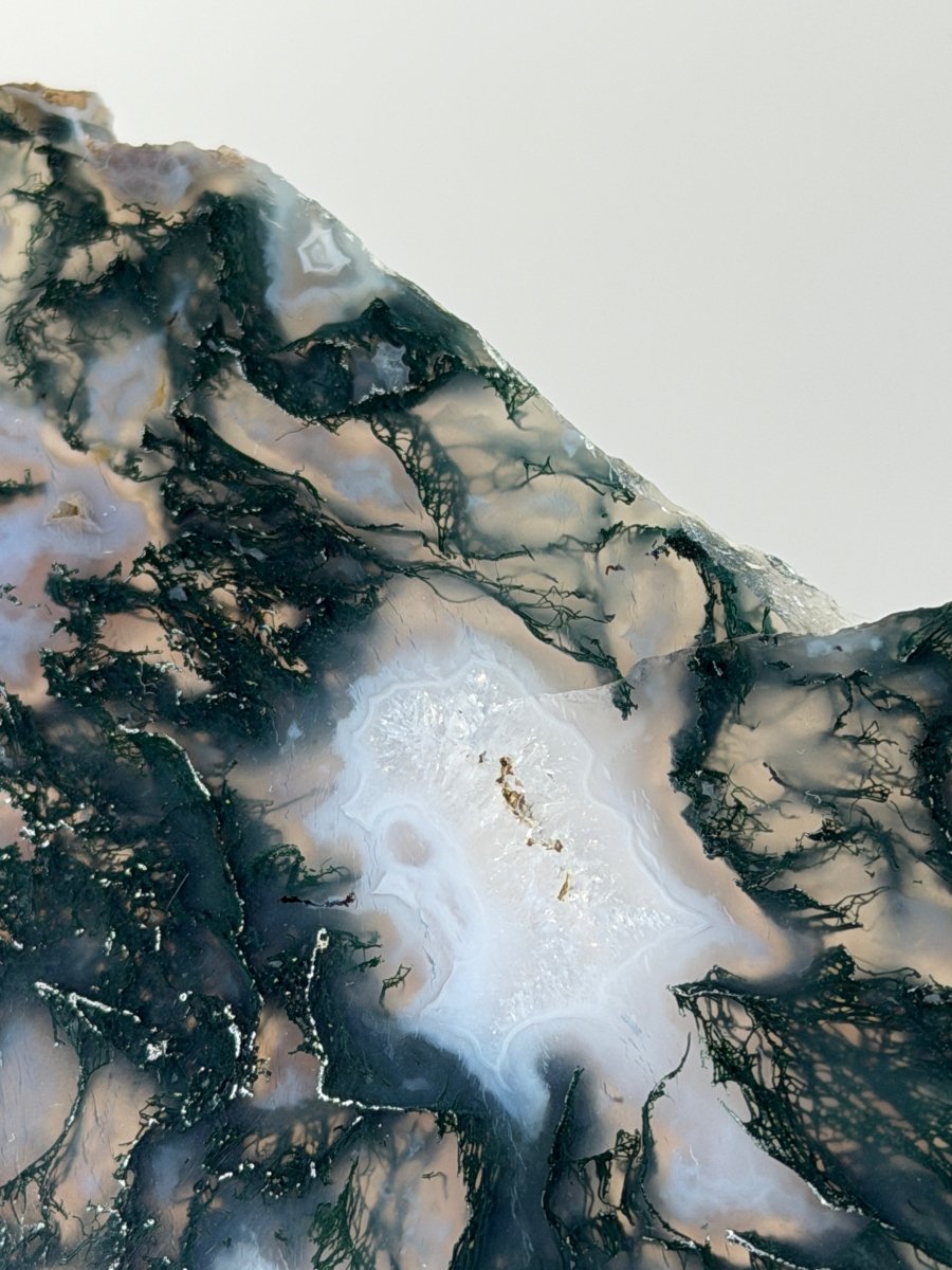 Moss Agate Slice Moss AgateIndia - Haus of Moss + Moon