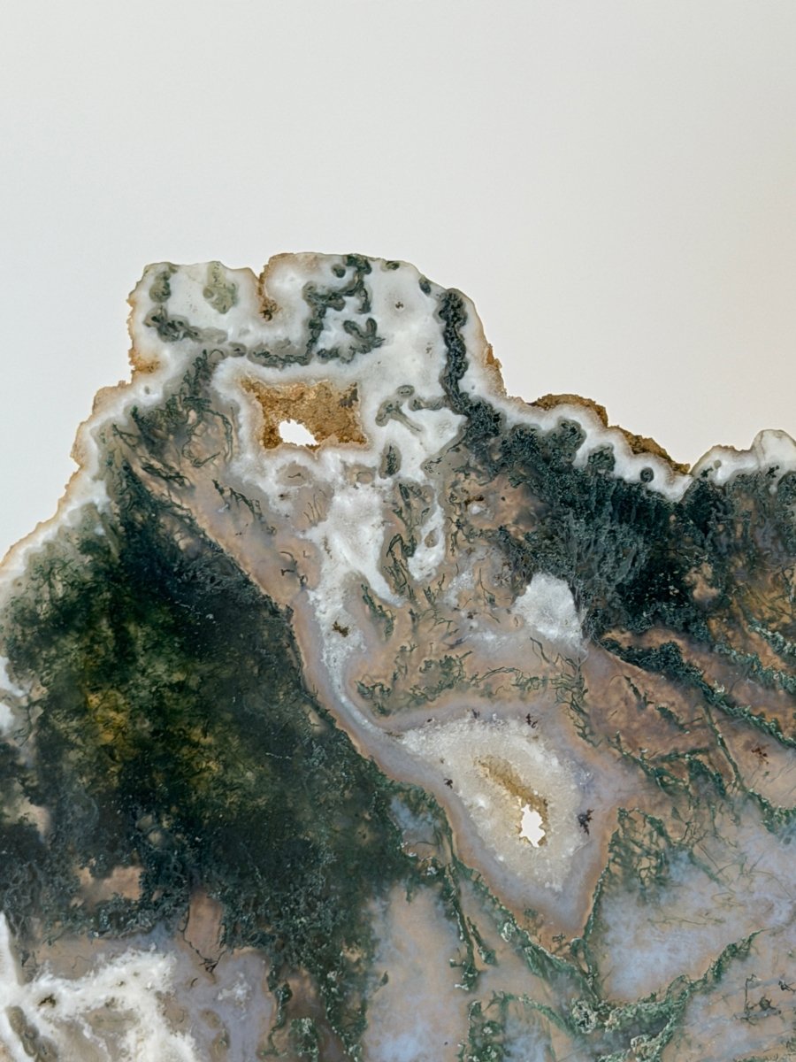 Moss Agate Slice Moss Agate India - Haus of Moss + Moon