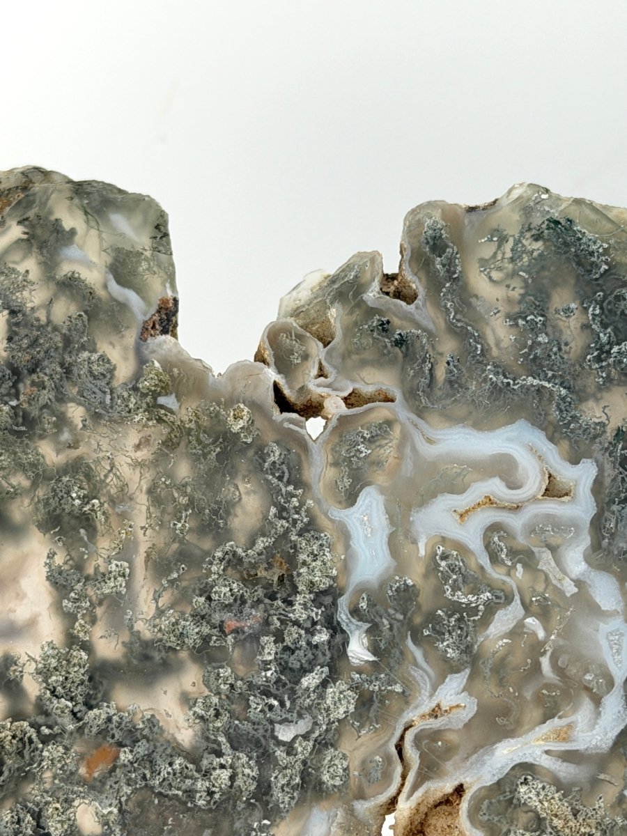 Moss Agate Slice Moss AgateIndia - Haus of Moss + Moon