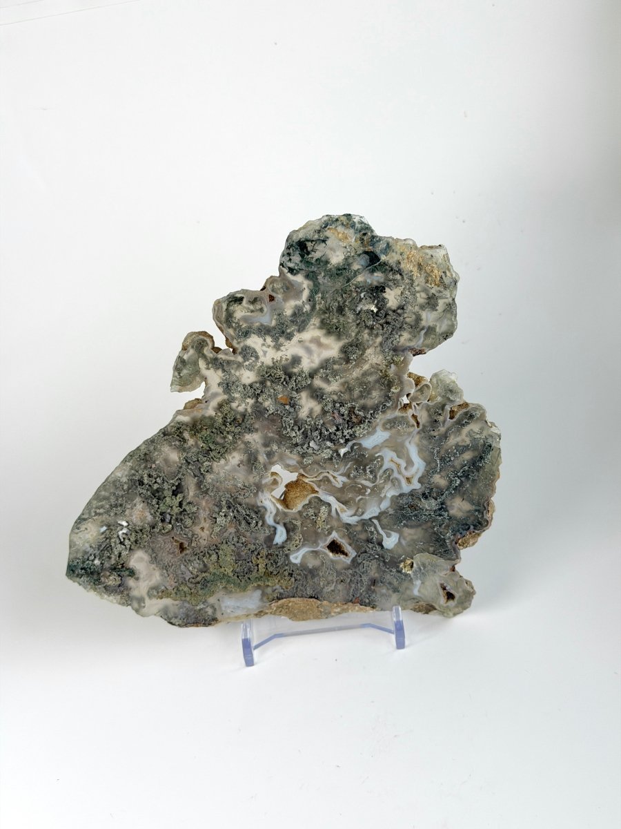 Moss Agate Slice Moss AgateIndia - Haus of Moss + Moon