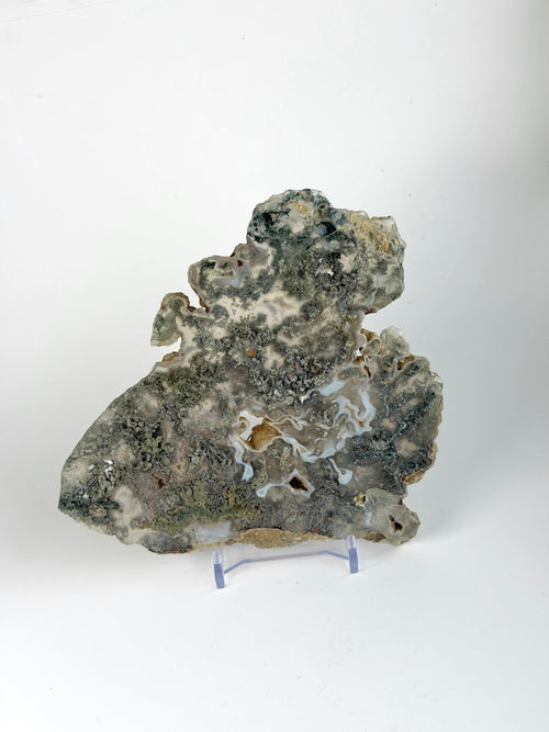 Moss Agate Slice Moss Agate India - Haus of Moss + Moon