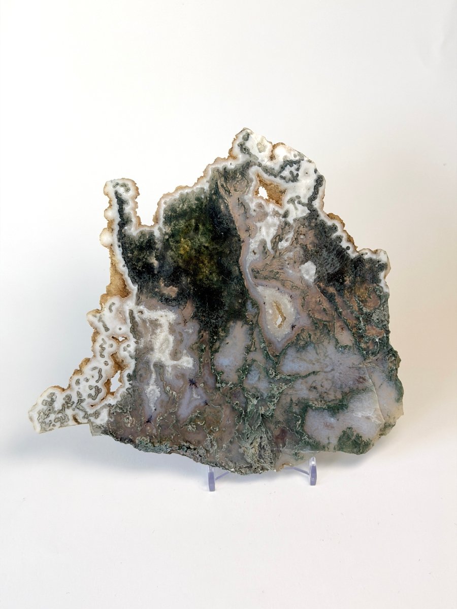 Moss Agate Slice Moss Agate India - Haus of Moss + Moon
