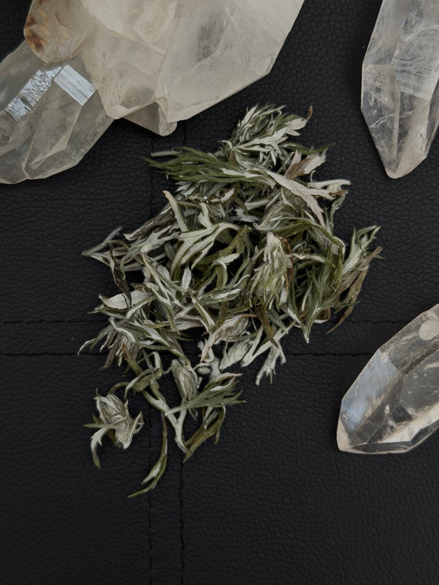 Mugwort Loose IncenseHaus of Moss + Moon- Haus of Moss and Moon